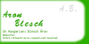 aron blesch business card